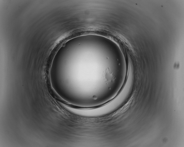 X0000098131210200804171513