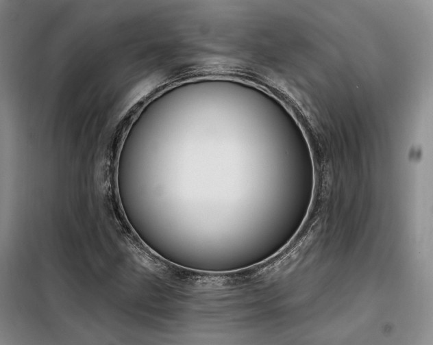 X0000098131211200804171513
