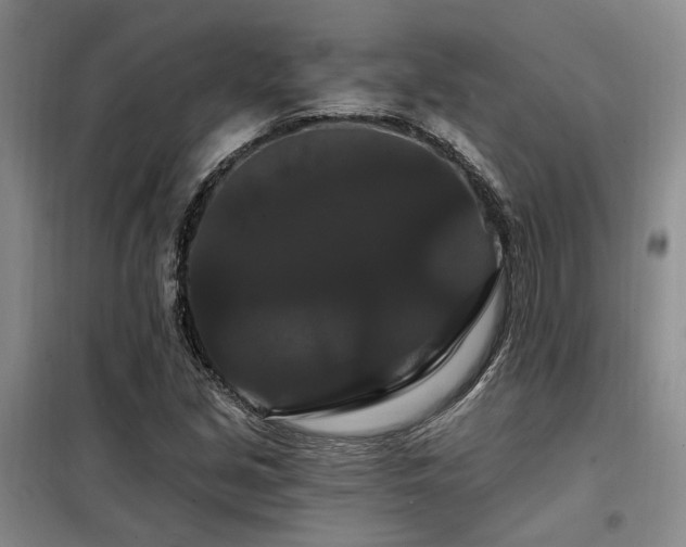 X0000098131213200804171513