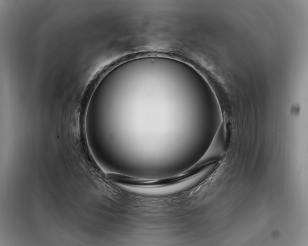 X0000098131214200804171513