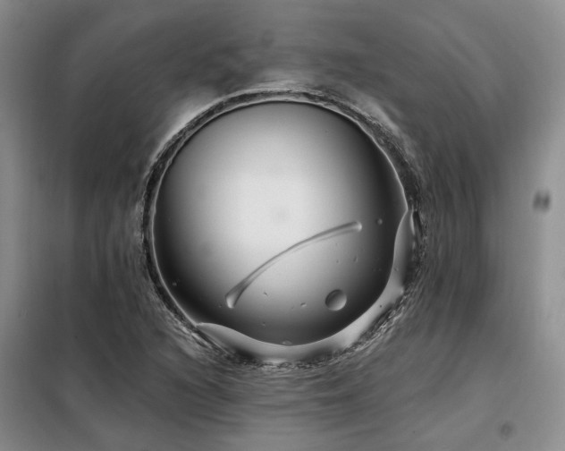 X0000098131216200804171513