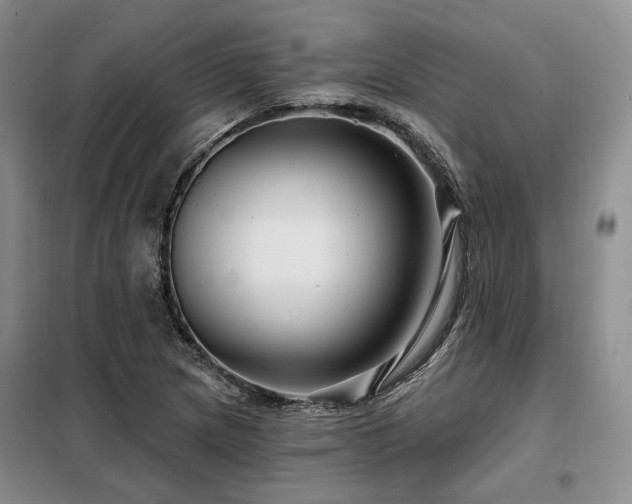 X0000098131217200804171513