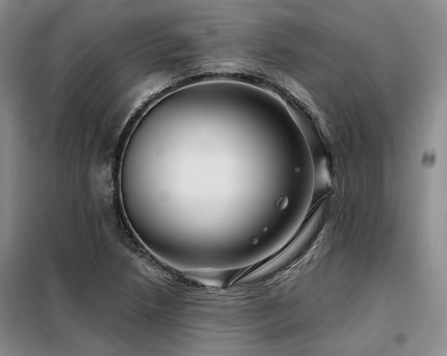 X0000098131218200804171513