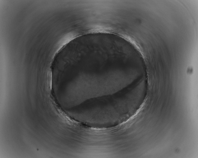 X0000098131219200804171513