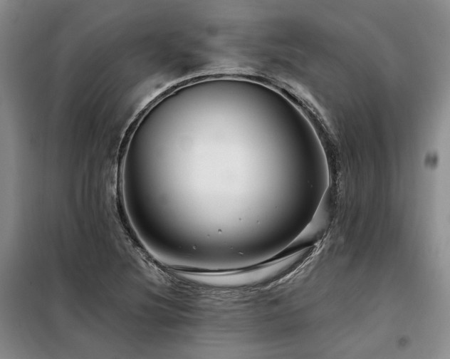 X0000098131220200804171513