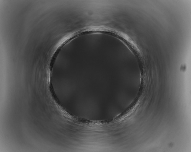 X0000098131221200804171513