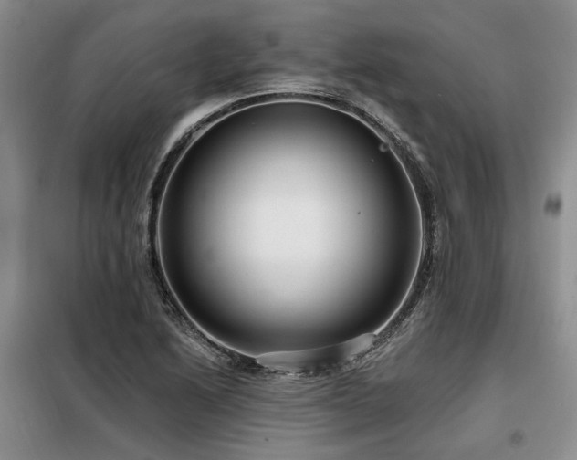 X0000098131222200804171513