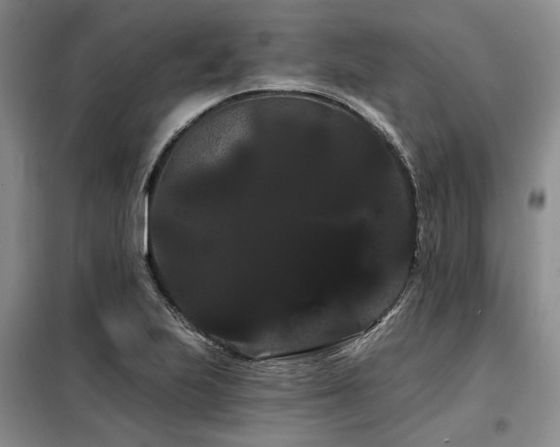 X0000098131223200804171513