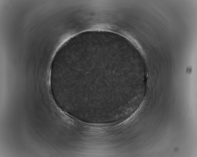 X0000098131224200804171513