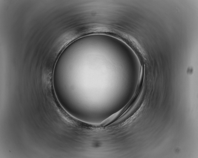 X0000098131225200804171513