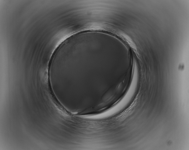 X0000098131226200804171513