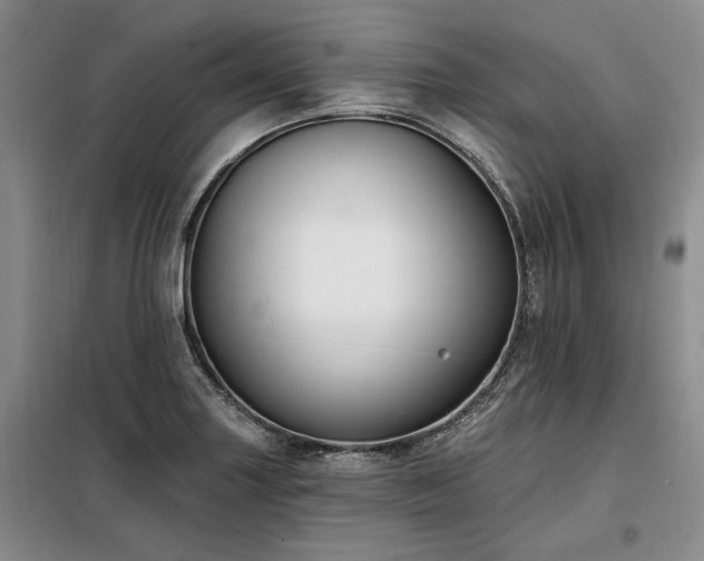 X0000098131227200804171513