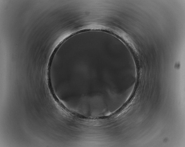 X0000098131229200804171513