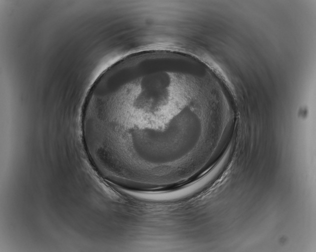 X0000098131230200804171513