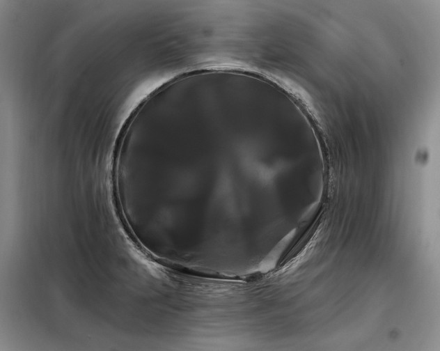 X0000098131231200804171513