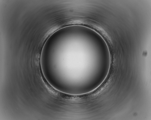 X0000098131233200804171513