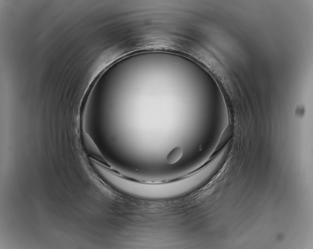 X0000098131234200804171513