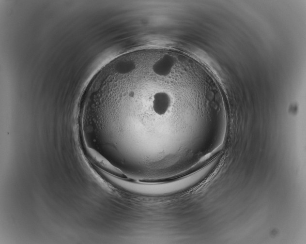 X0000098131235200804171513
