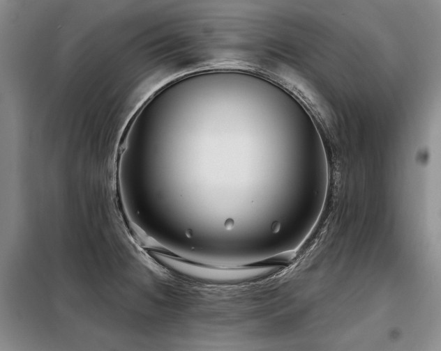 X0000098131236200804171513