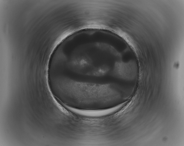 X0000098131237200804171513