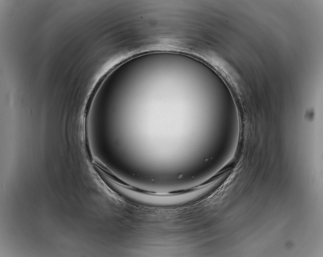 X0000098131238200804171513