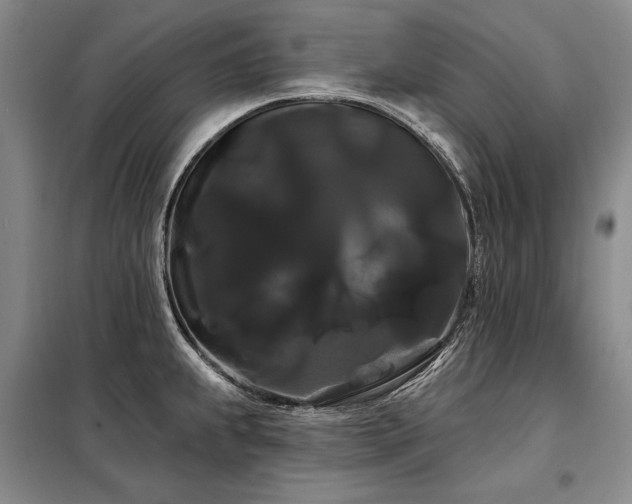 X0000098131239200804171513