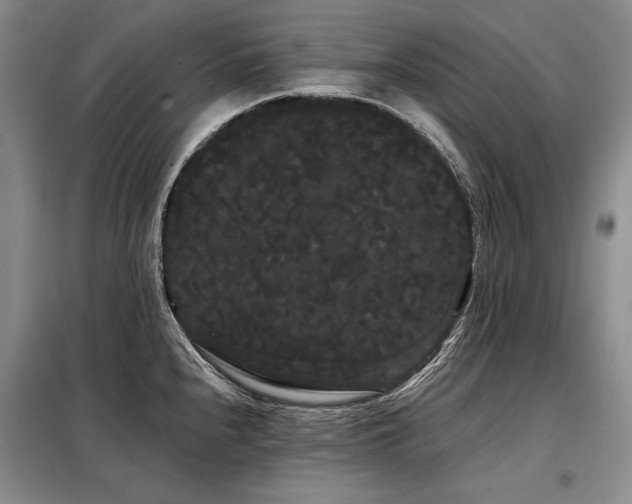 X0000098131240200804171513