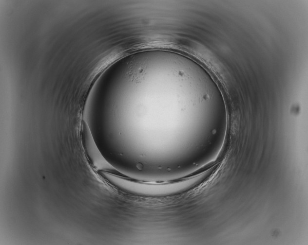 X0000098131241200804171513