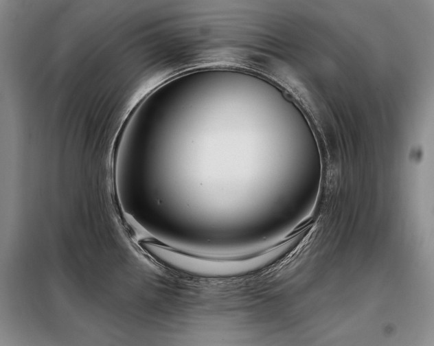 X0000098131242200804171513