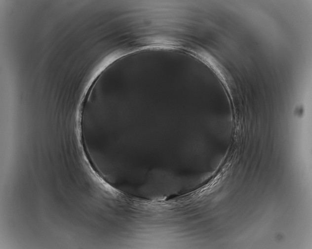 X0000098131243200804171513