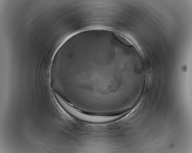 X0000098131244200804171513