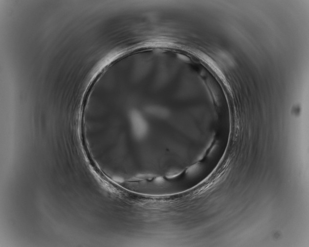 X0000098131245200804171513