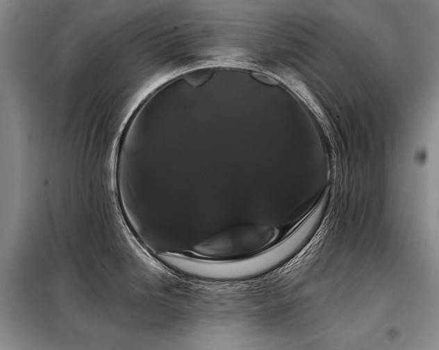 X0000098131246200804171513