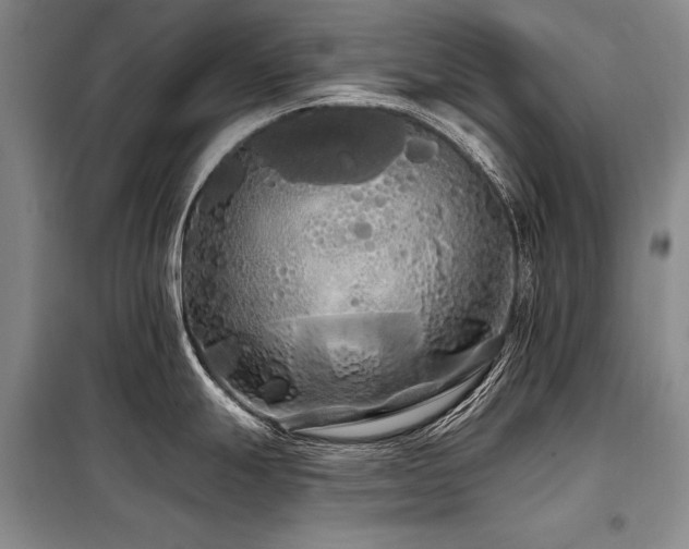 X0000098131247200804171513
