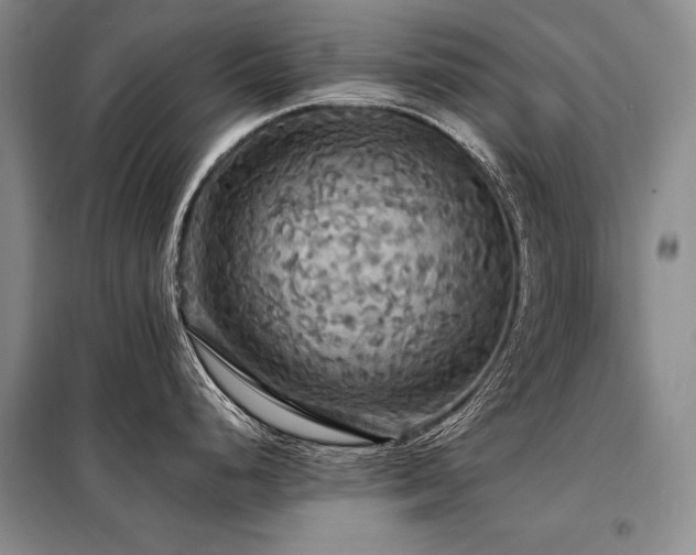 X0000098131248200804171513