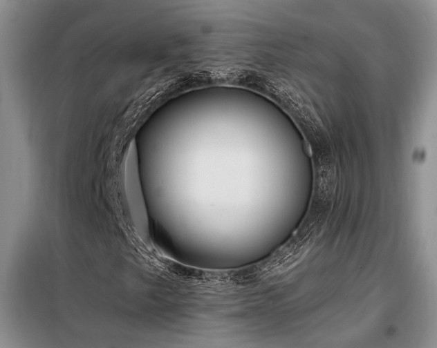 X0000098131249200804171512
