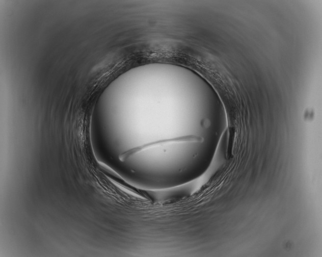 X0000098131250200804171512