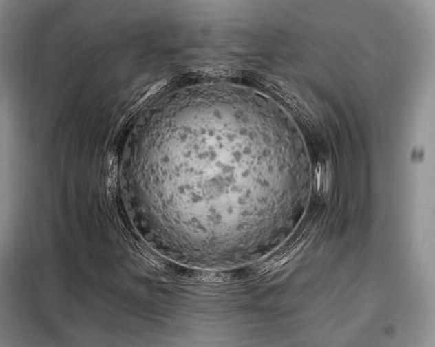 X0000098131251200804171512