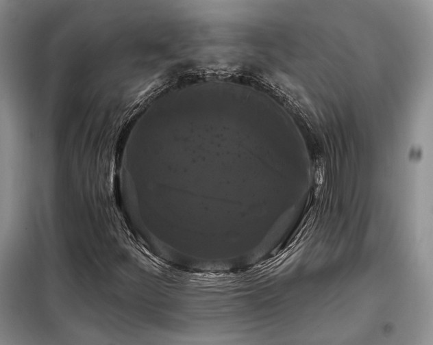 X0000098131252200804171512