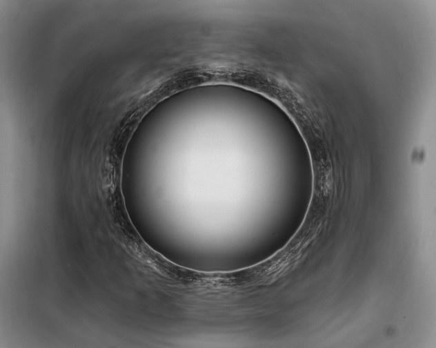 X0000098131253200804171512