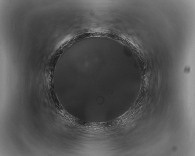 X0000098131254200804171512