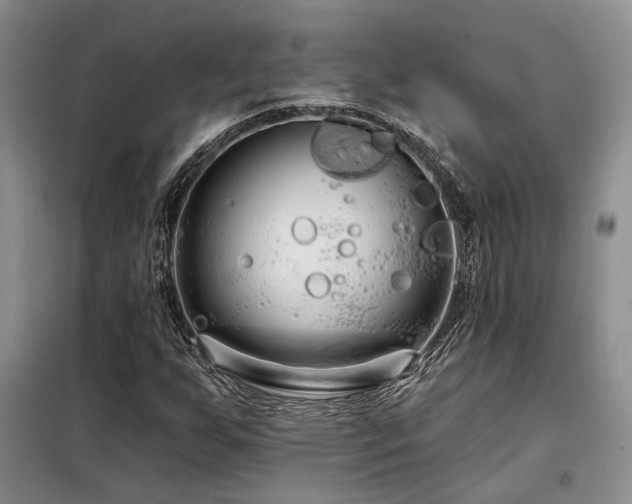 X0000098131255200804171512