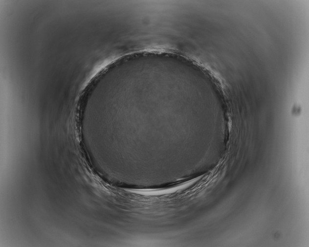 X0000098131256200804171512