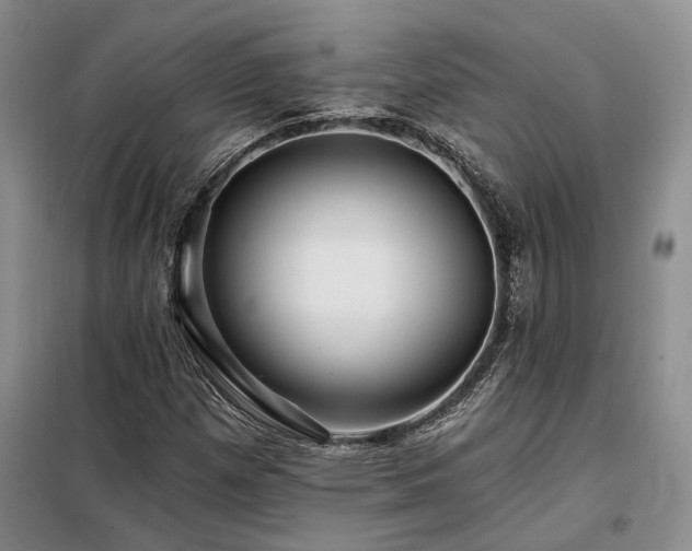 X0000098131257200804171512