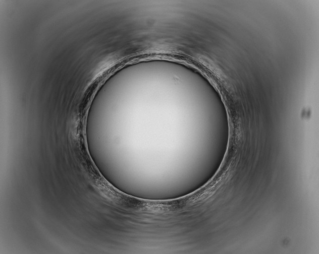 X0000098131258200804171512