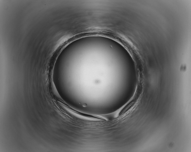 X0000098131259200804171512