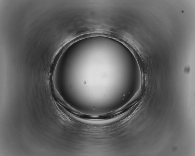 X0000098131260200804171512