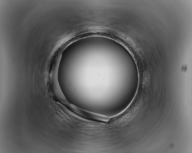 X0000098131261200804171512