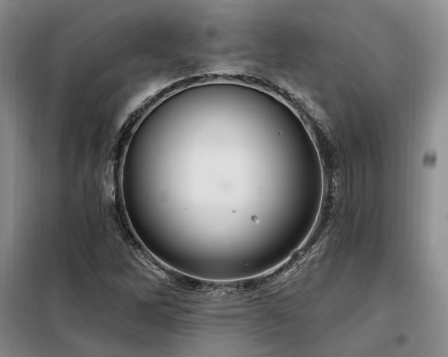 X0000098131262200804171512