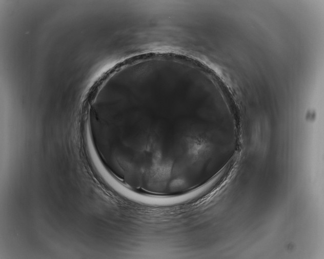 X0000098131263200804171512